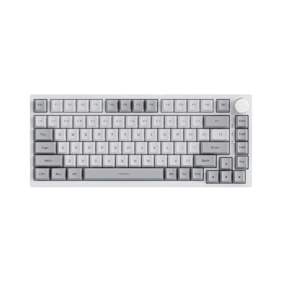 AJAZZ AK820 75% Gasket-Mounted White Backlit Wired Mechanical Keyboard, Gray White