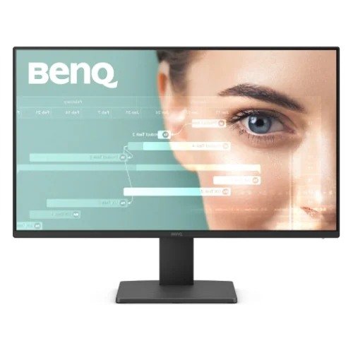 BenQ GW2491 23.8" 100Hz FHD IPS Monitor