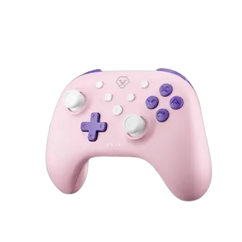 Aolion AL-NS2288PRO-PI Wireless Gaming Controller