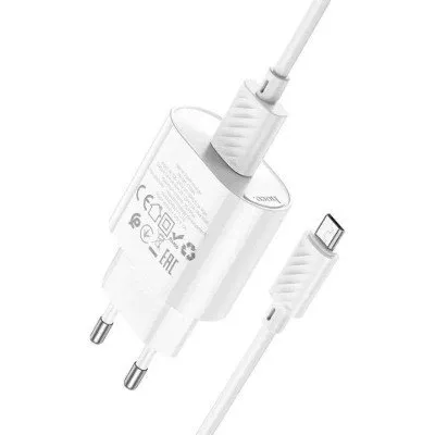 Hoco C109A Charging Adapter (EU) With Micro Cable