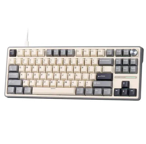 Royal Kludge R87 Pro TKL Wired mode RGB  Hot swap Gaming Keyboard