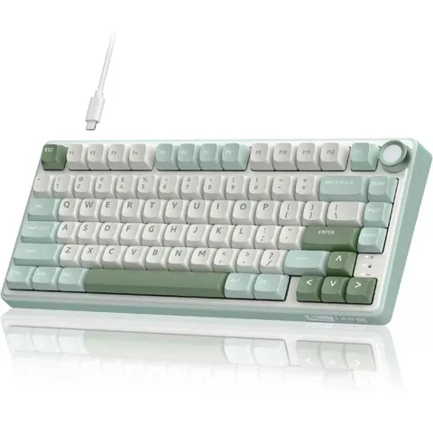Royal Kludge RK R75 RGB Hot-Swappable Mechanical Keyboard